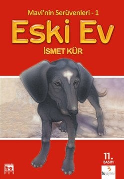 Mavi'nin Serüvenleri 1: Eski Ev / İsmet Kür