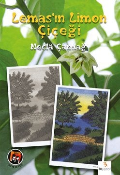 Lemas'ın Limon Çiçeği / Necla Çandağ